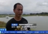 福清鳗鱼养殖户：涨了，一吨可赚五六万