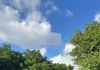 逃离喧嚣，即刻出发！藏在福清市区的露营地，“野”..