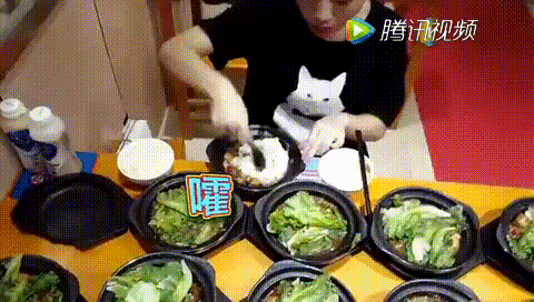qdo1tsccstf30783.gif