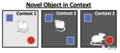 6250dc7876168bb.png