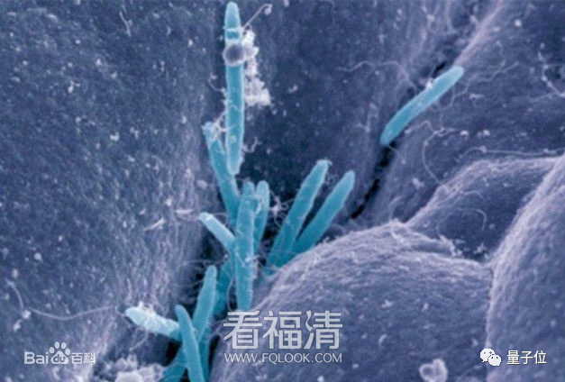 18205bcbddeb510.png