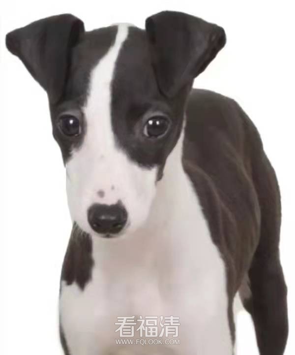 微信图片_20220110154818.jpg