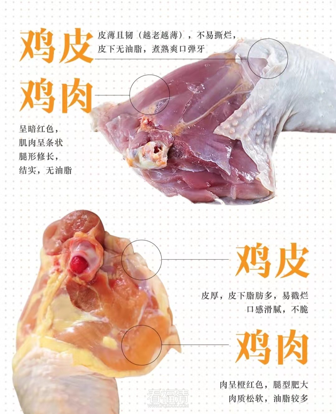 微信图片_20220125141849.jpg