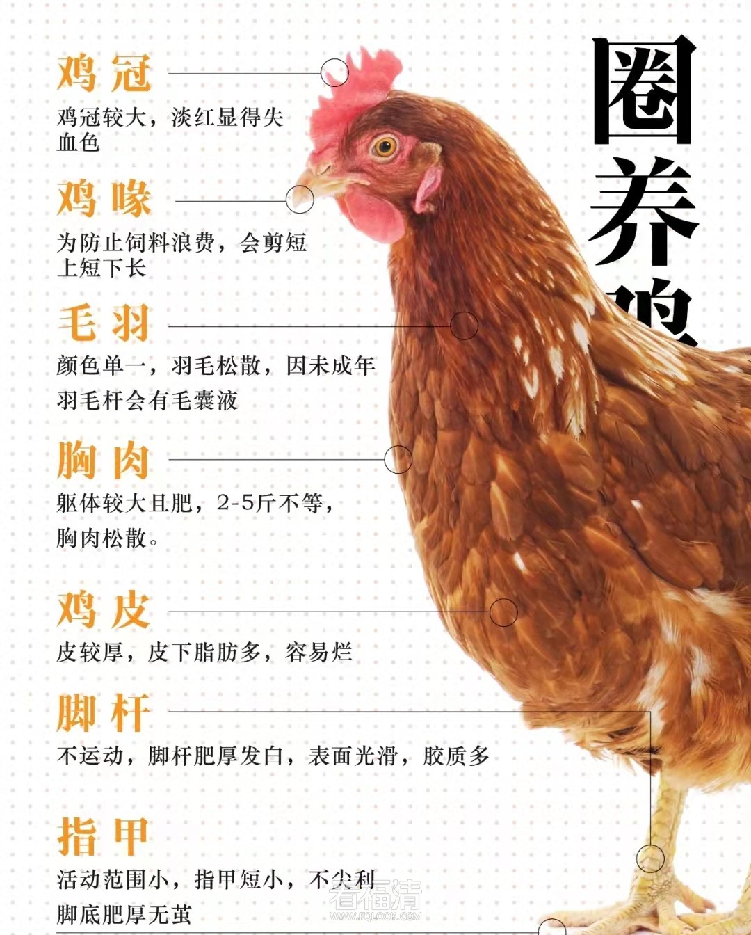 微信图片_20220125141847.jpg