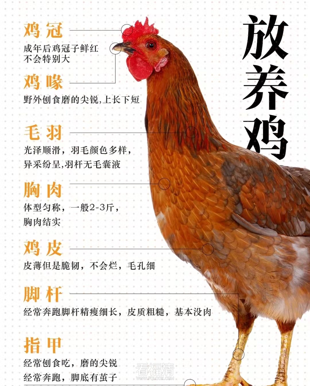微信图片_20220125141844.jpg