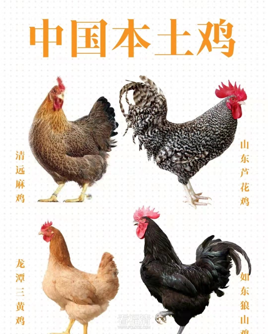 微信图片_20220125141857.jpg