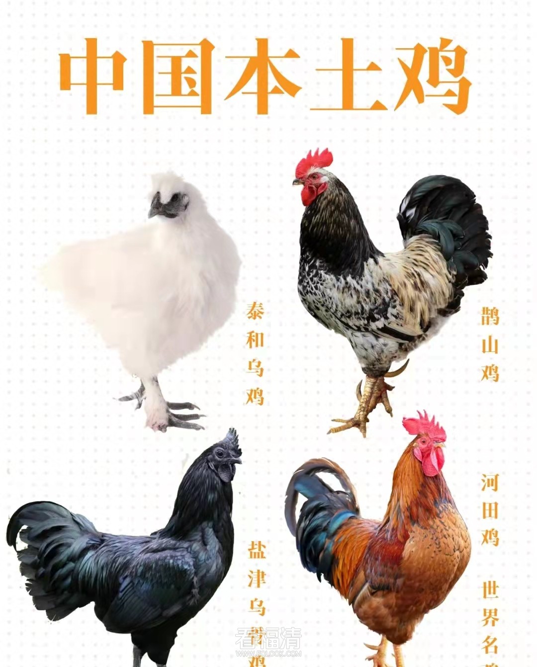 微信图片_20220125141900.jpg