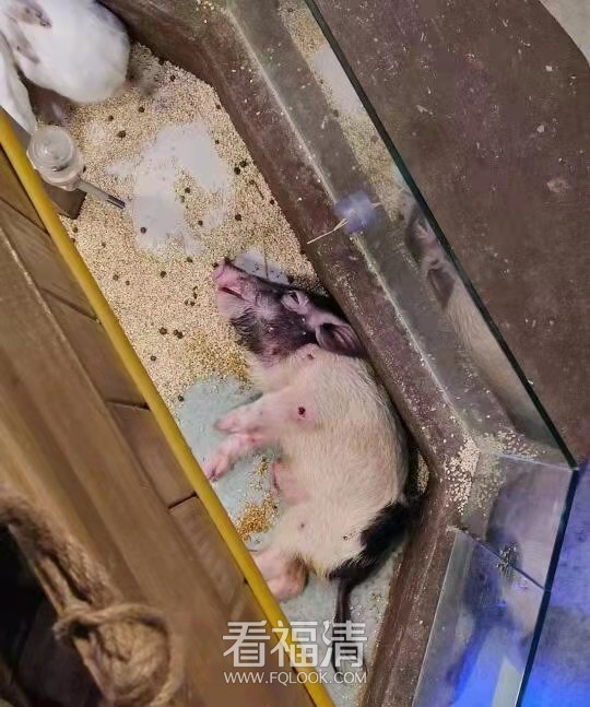 微信图片_20220206142608.jpg