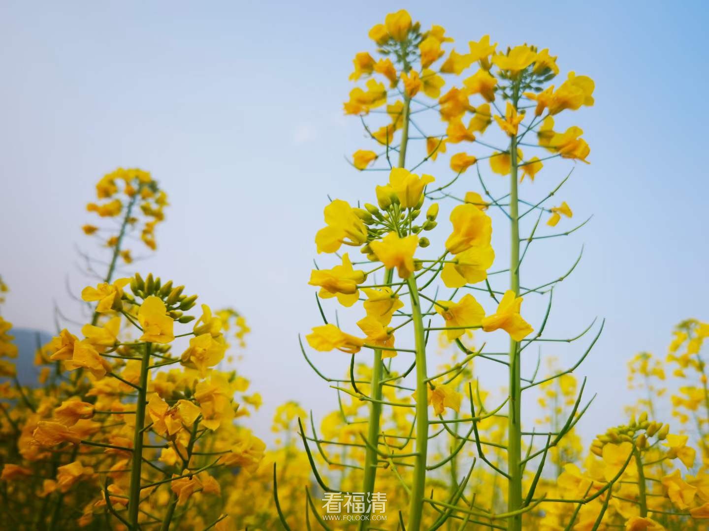 微信图片_20220306163621.jpg