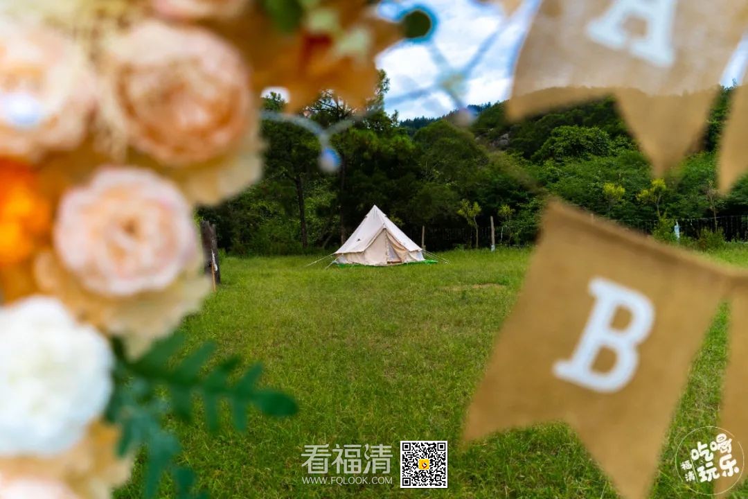 三分野2.jpg
