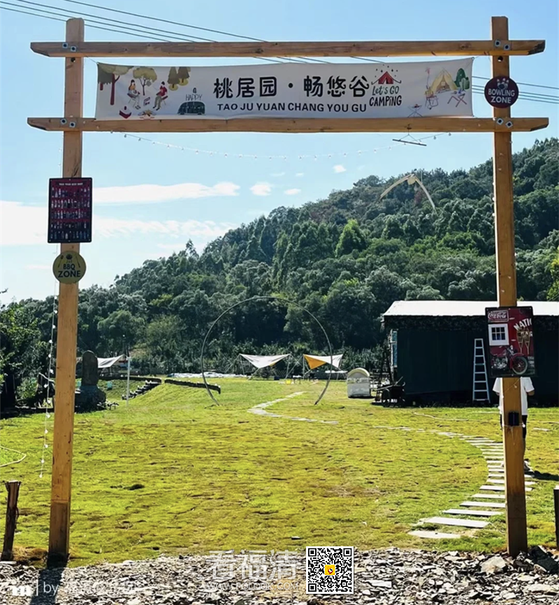 丛林故事.png