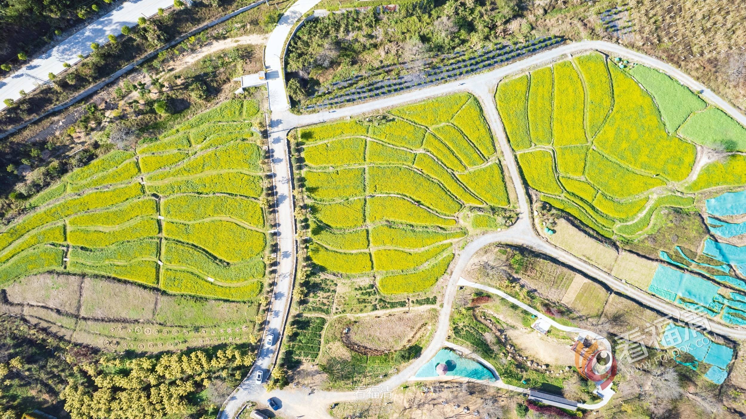DJI_0152.jpg