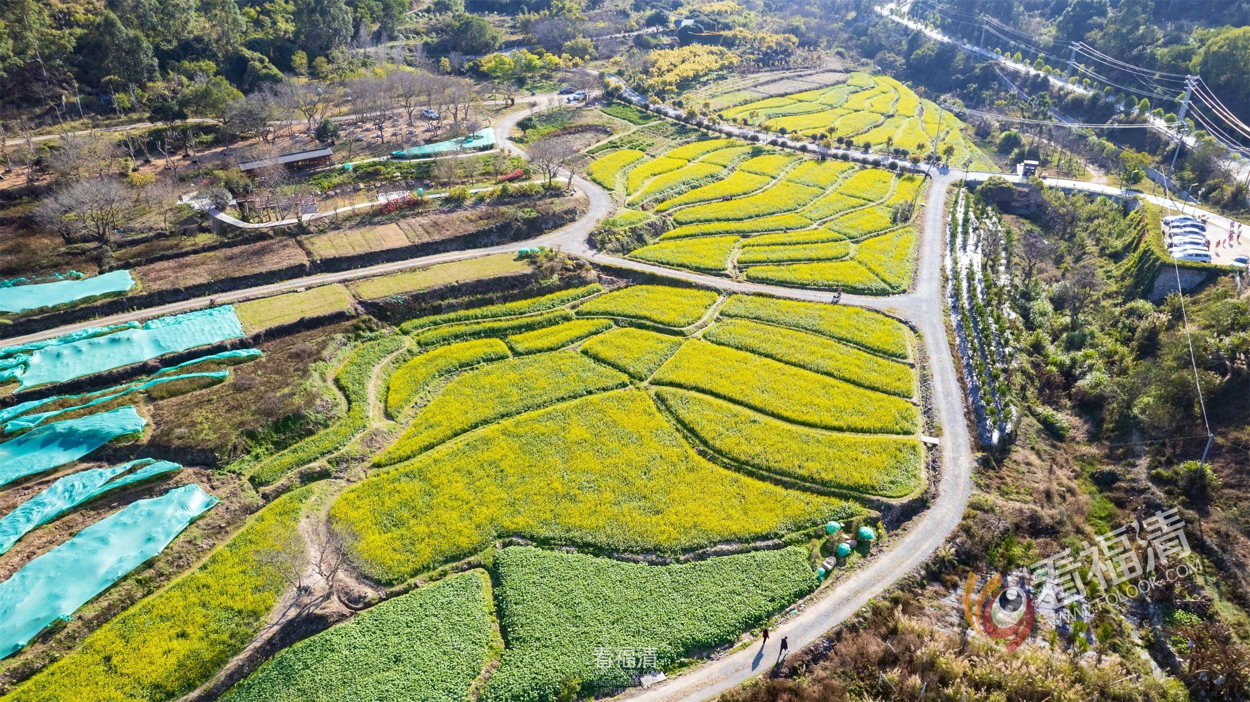 DJI_0179.jpg