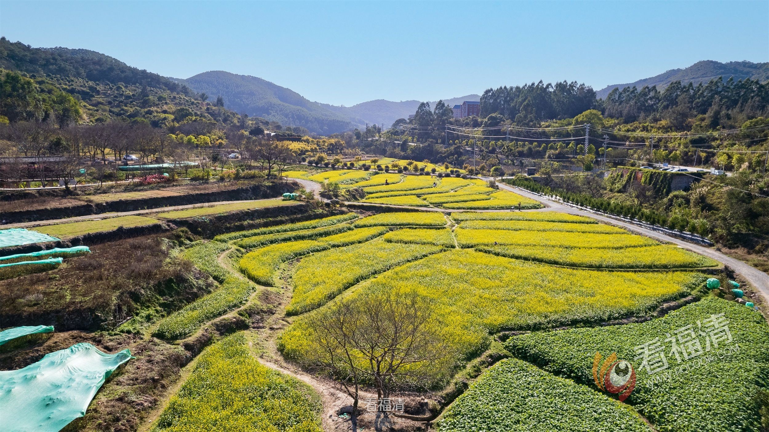 DJI_0160.jpg