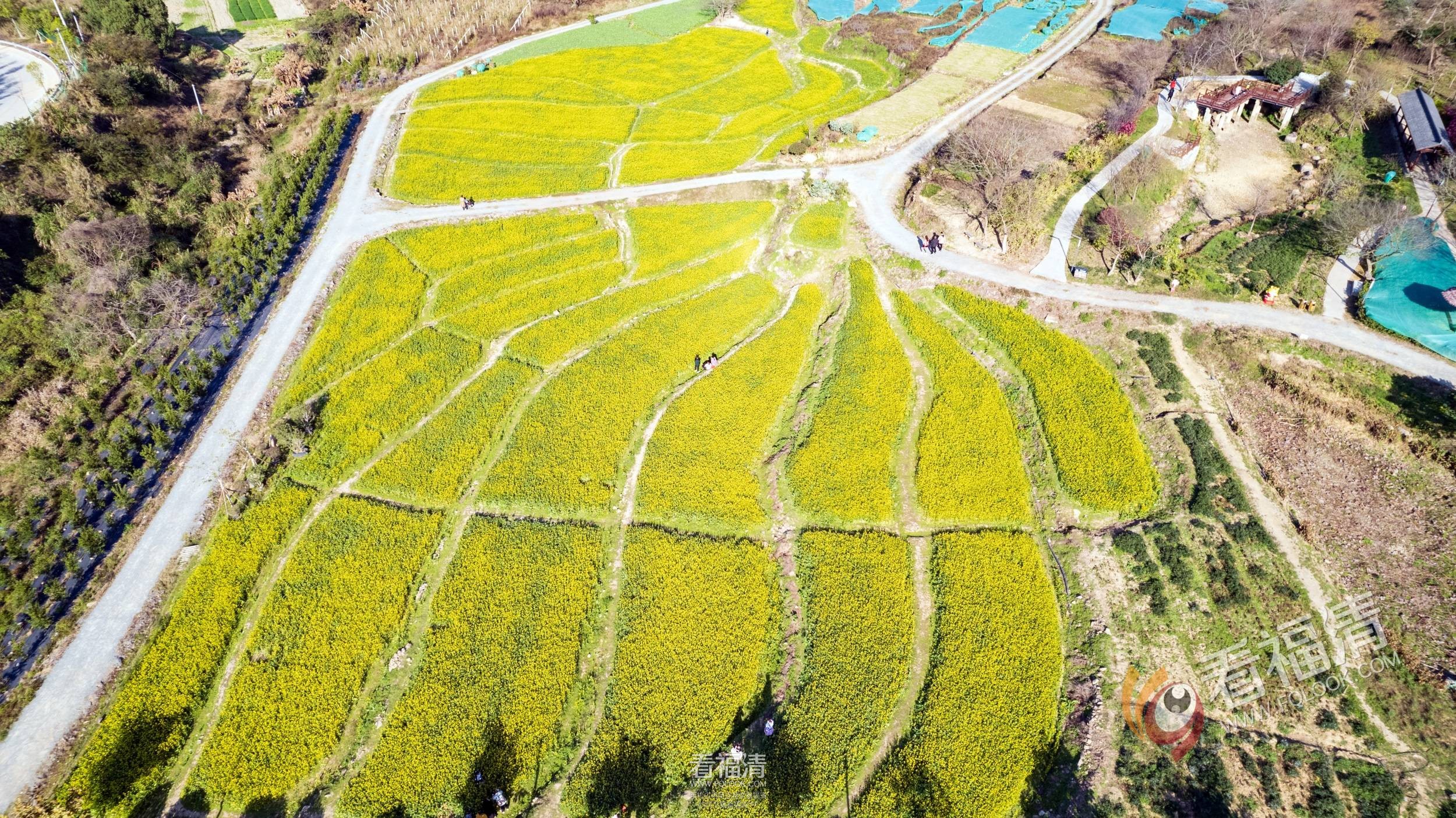 DJI_0170.jpg