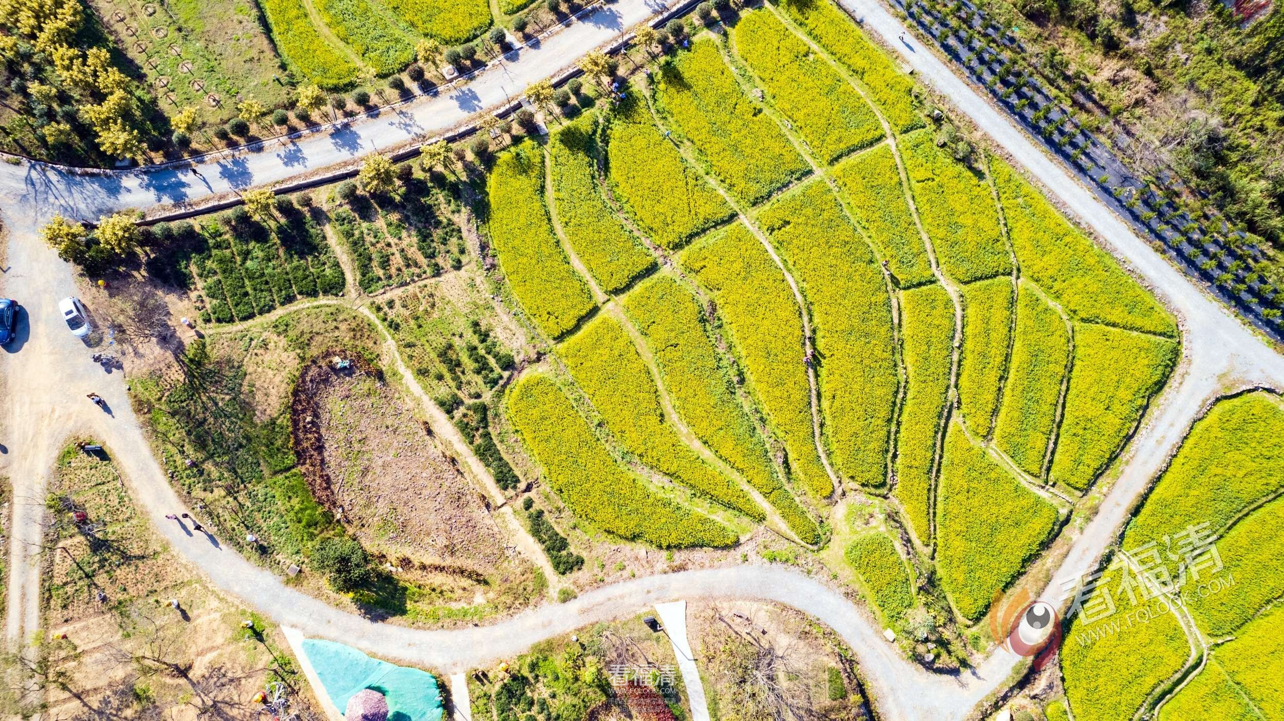 DJI_0153.jpg