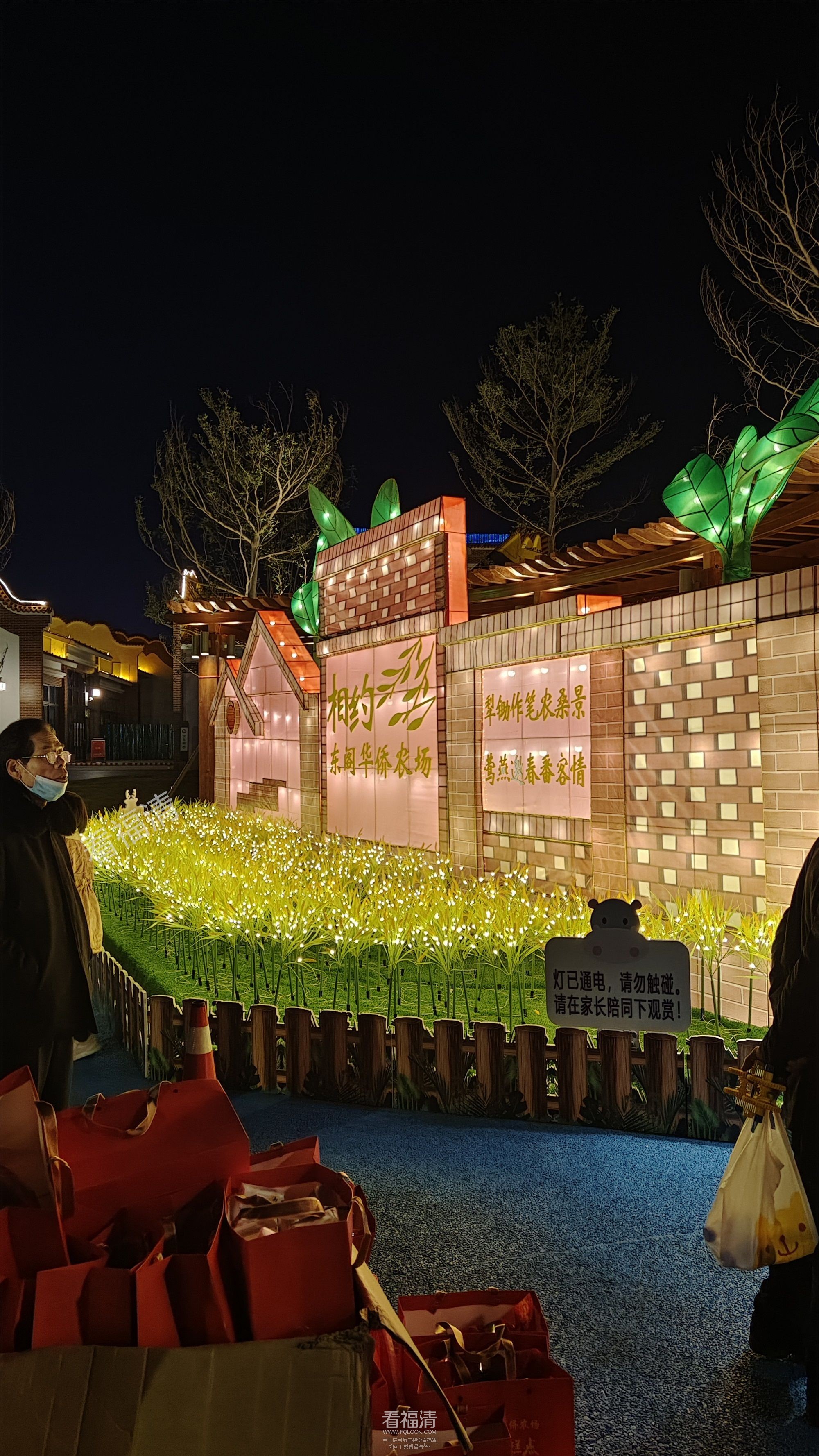 东阁华侨农场IMG_20230131_200745.jpg
