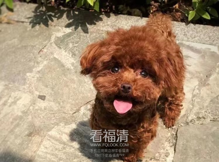 微信图片_20230225170042.jpg
