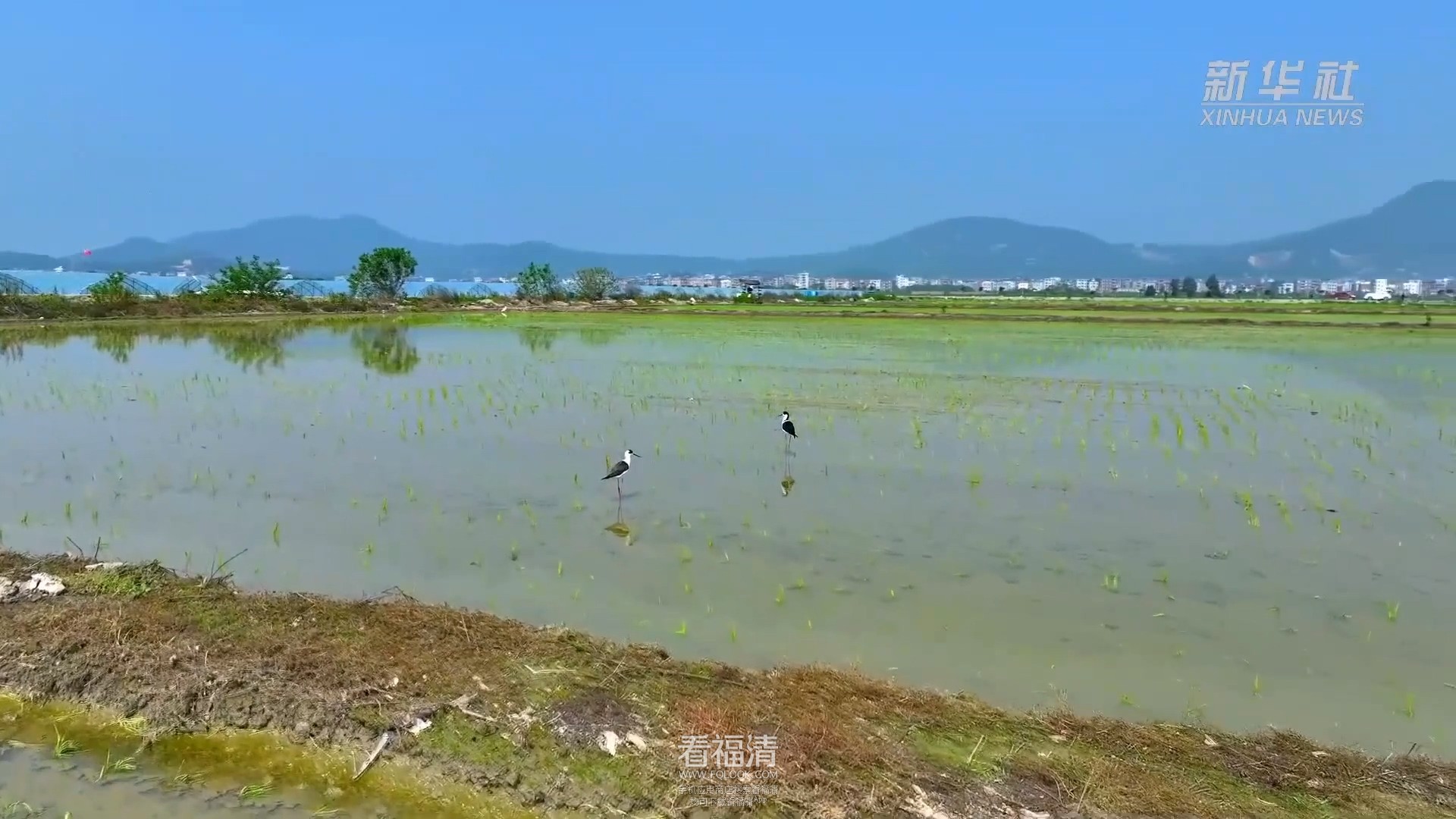 下载.mp4_20230424_105111.308.jpg