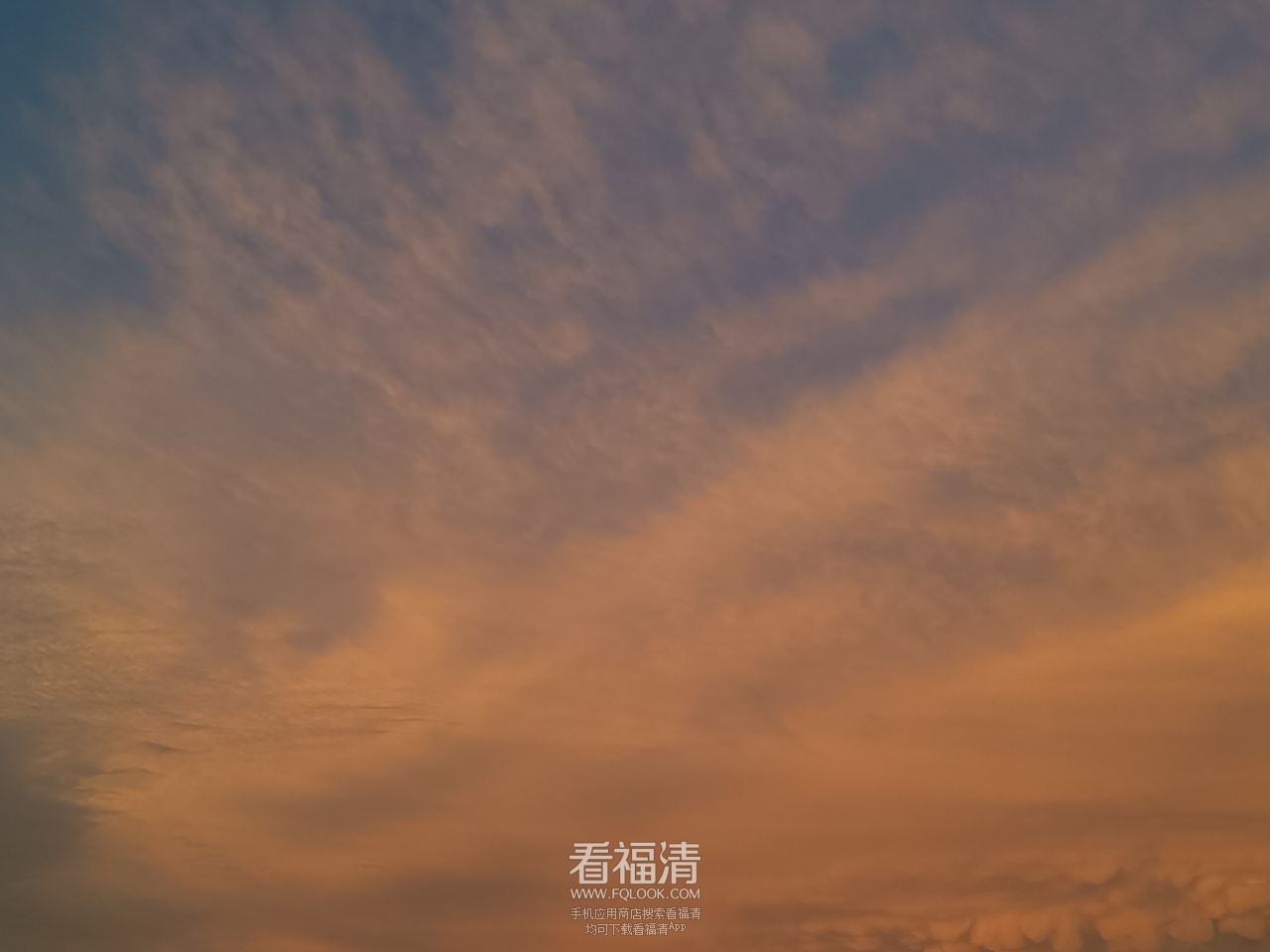 20230804194205front2_0_147910_FsqJkYjS-OkN66L2AbTyWWcF6VnH.jpg