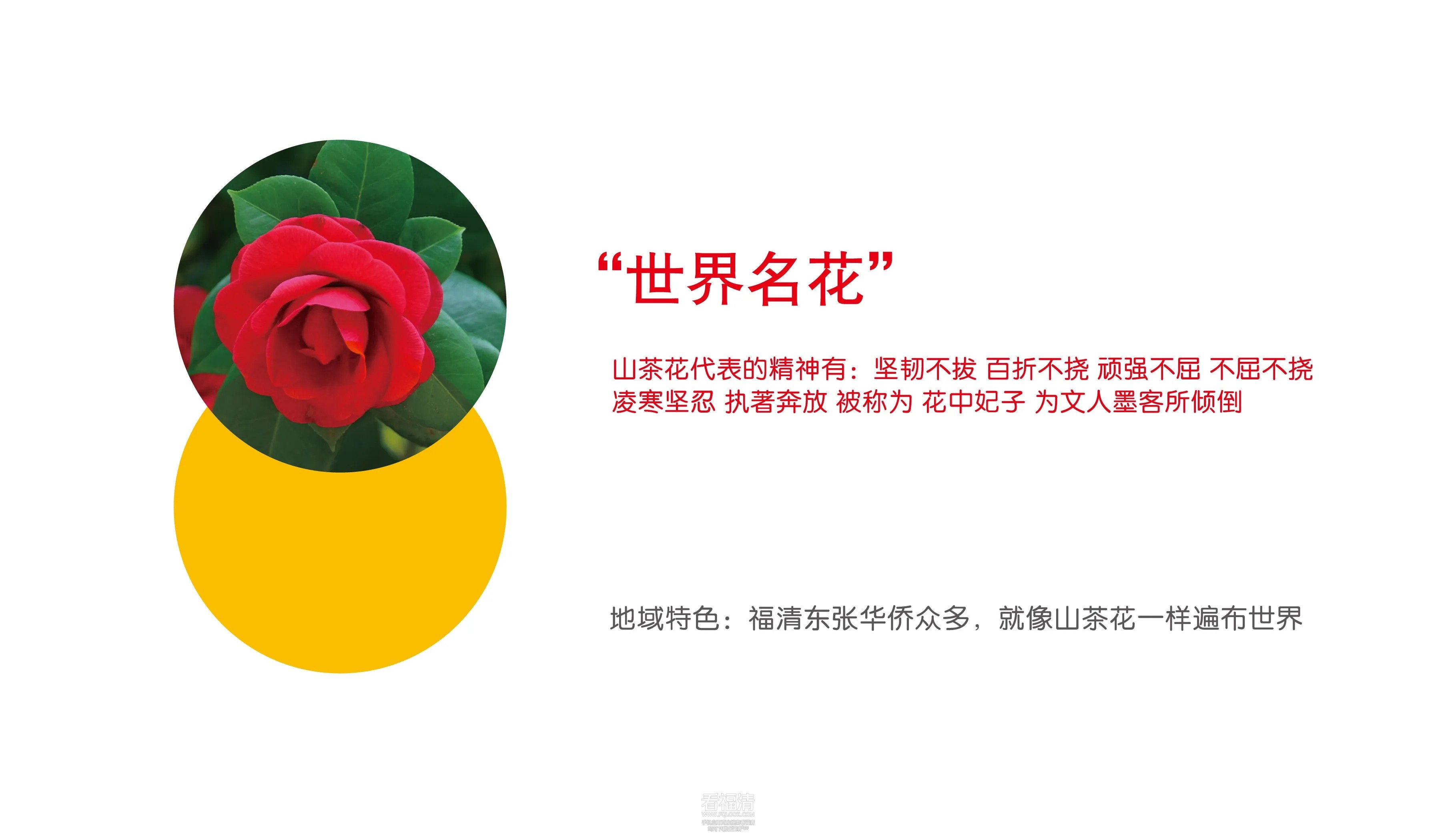 01a9675bcfeddca801213dea17635d.webp.jpg