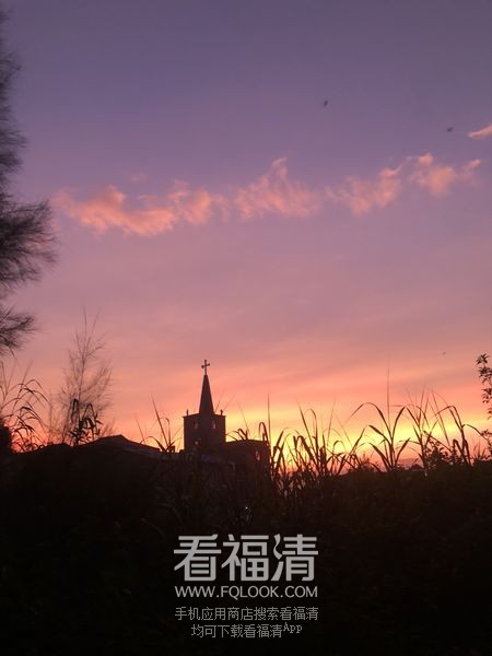 6c29e305323a4708adb6d4d9feafed74_结果.jpg