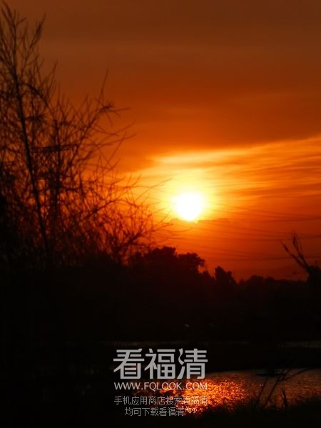 932fe2774a364a0e87d0fa75449c44c2_结果.jpg